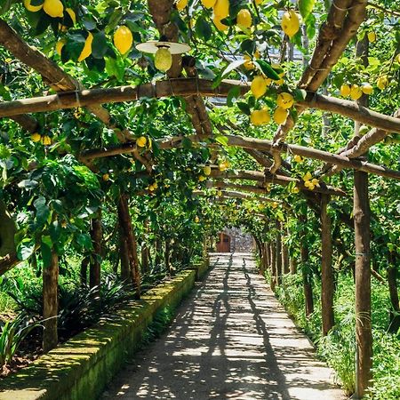 Agriturismo Il Giardino Di Vigliano Massa Lubrense Eksteriør bilde