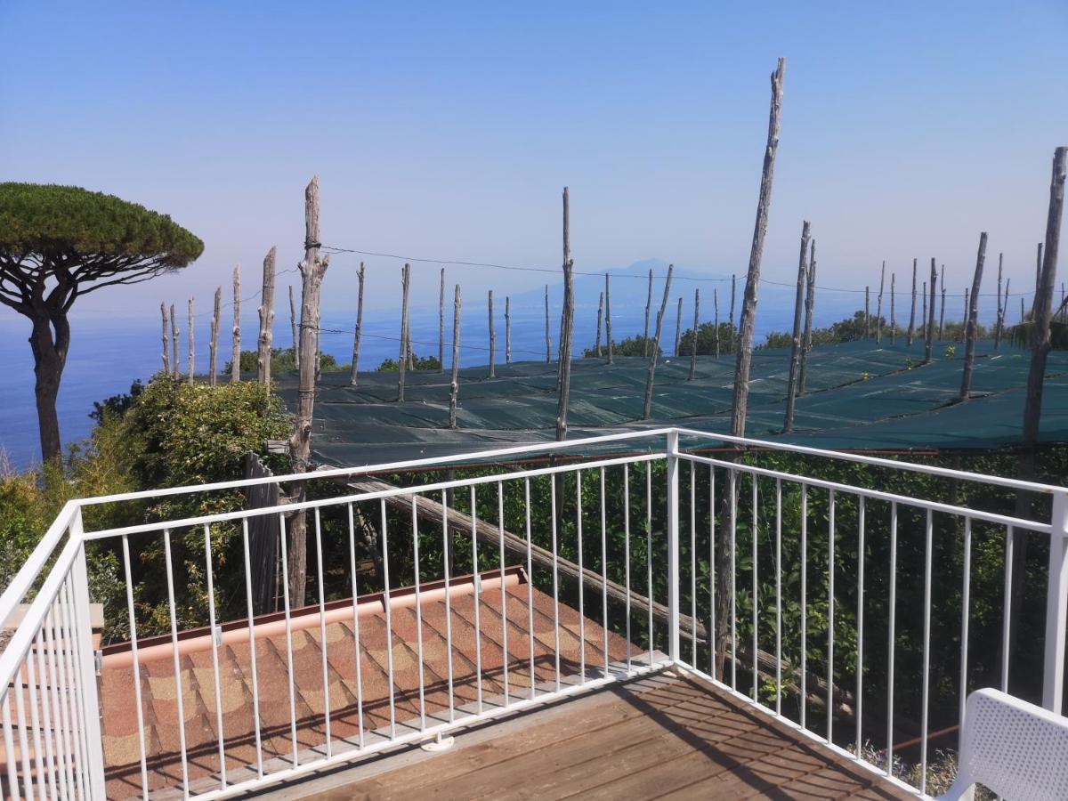 Agriturismo Il Giardino Di Vigliano Massa Lubrense Eksteriør bilde