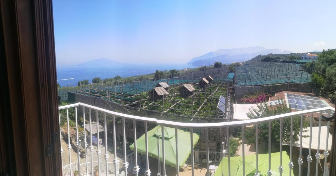 Agriturismo Il Giardino Di Vigliano Massa Lubrense Eksteriør bilde