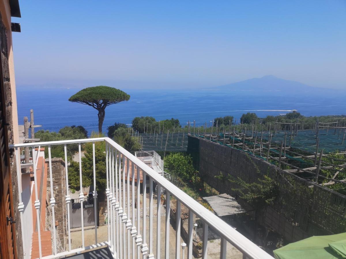 Agriturismo Il Giardino Di Vigliano Massa Lubrense Eksteriør bilde