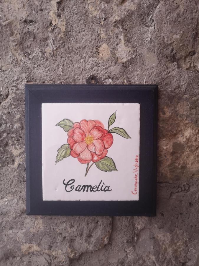 Agriturismo Il Giardino Di Vigliano Massa Lubrense Eksteriør bilde