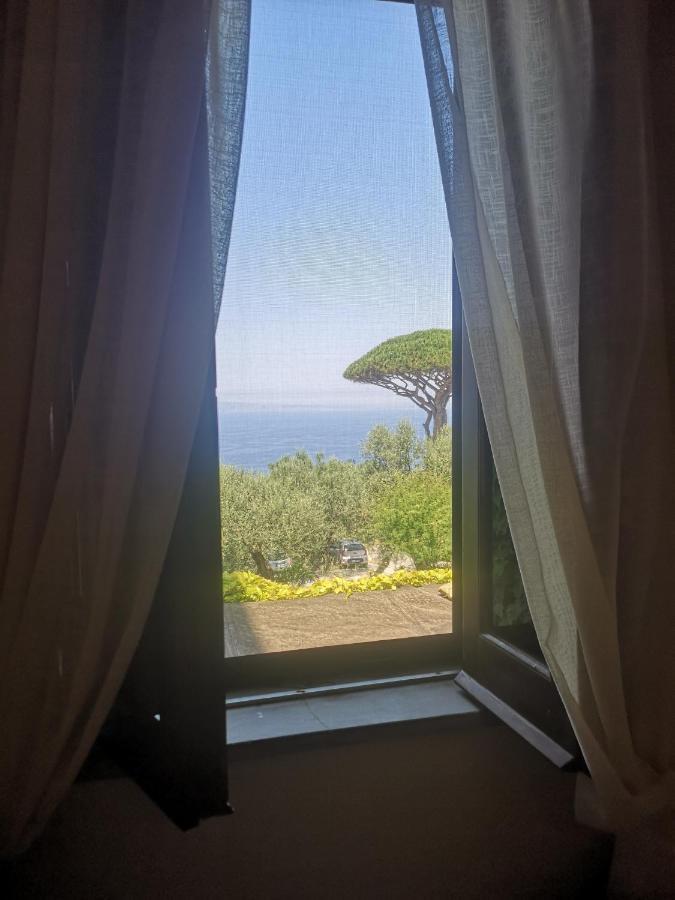 Agriturismo Il Giardino Di Vigliano Massa Lubrense Eksteriør bilde